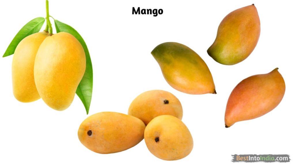 Mango National Fruit of India