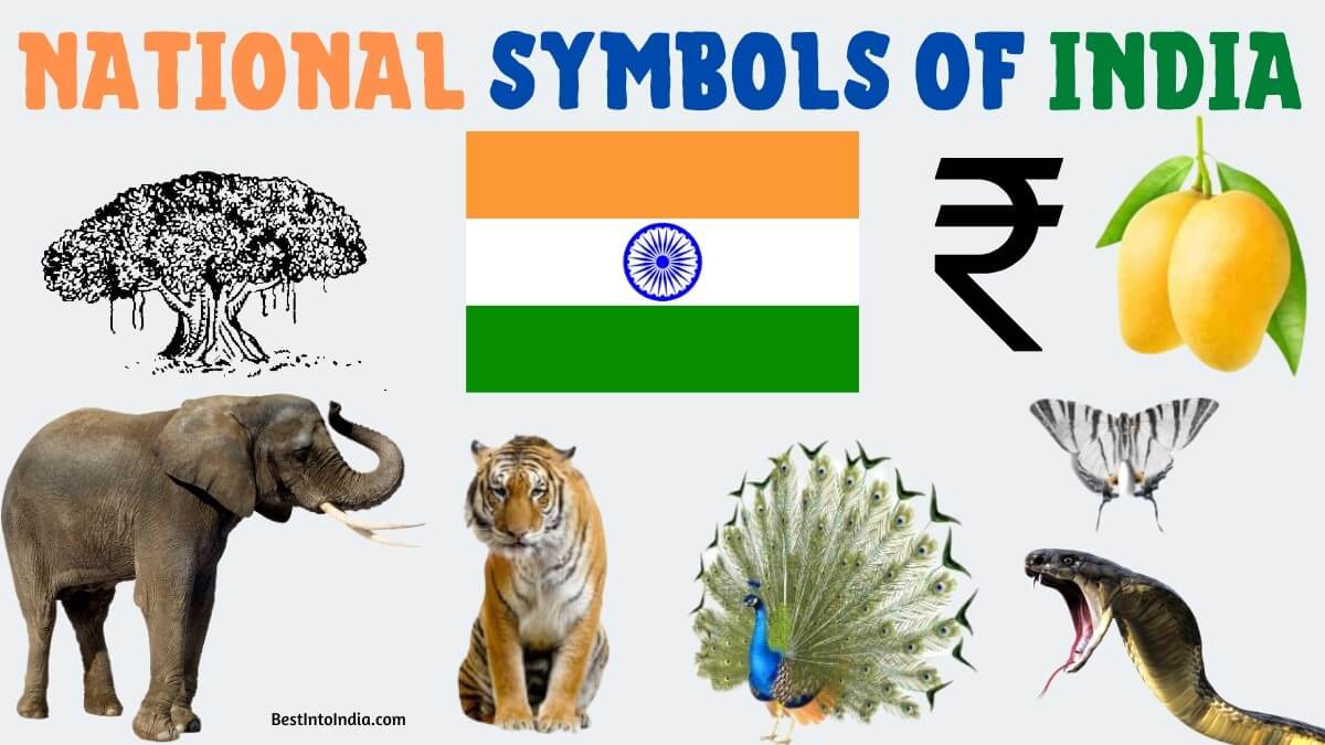 Top 17 National Symbols of India Must Know • Best Into India